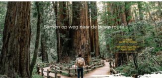 Homepage Mika-Coaching