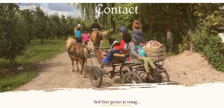 Homepage Wil-en-zijn-Rijsbrug